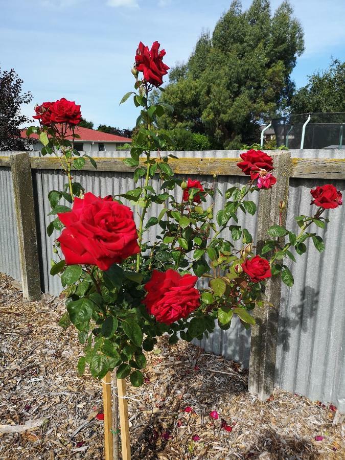 Home Sweet Home Oamaru Esterno foto